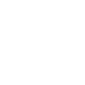 Braun logo